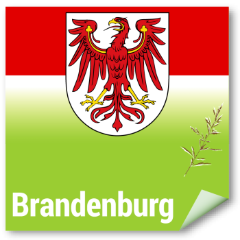 Einjährige Blühmischung Brandenburg - Förderung naturbetonter Strukturelemente im Ackerbau