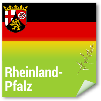 Veitshöchheimer Bienenweide - Rheinland-Pfalz - EULLa Saum- und Bandstrukturen mehrjährig