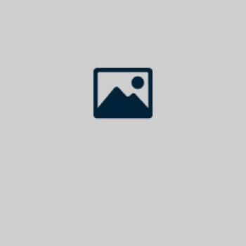 RSM 8.1.4 - Biotop-Rasen: Halb- und Teilschatten
