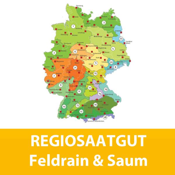 Feldrain & Saum (10% Gräser / 90% Kräuter) - Regiosaatgut, zertifiziert nach RegioZert®